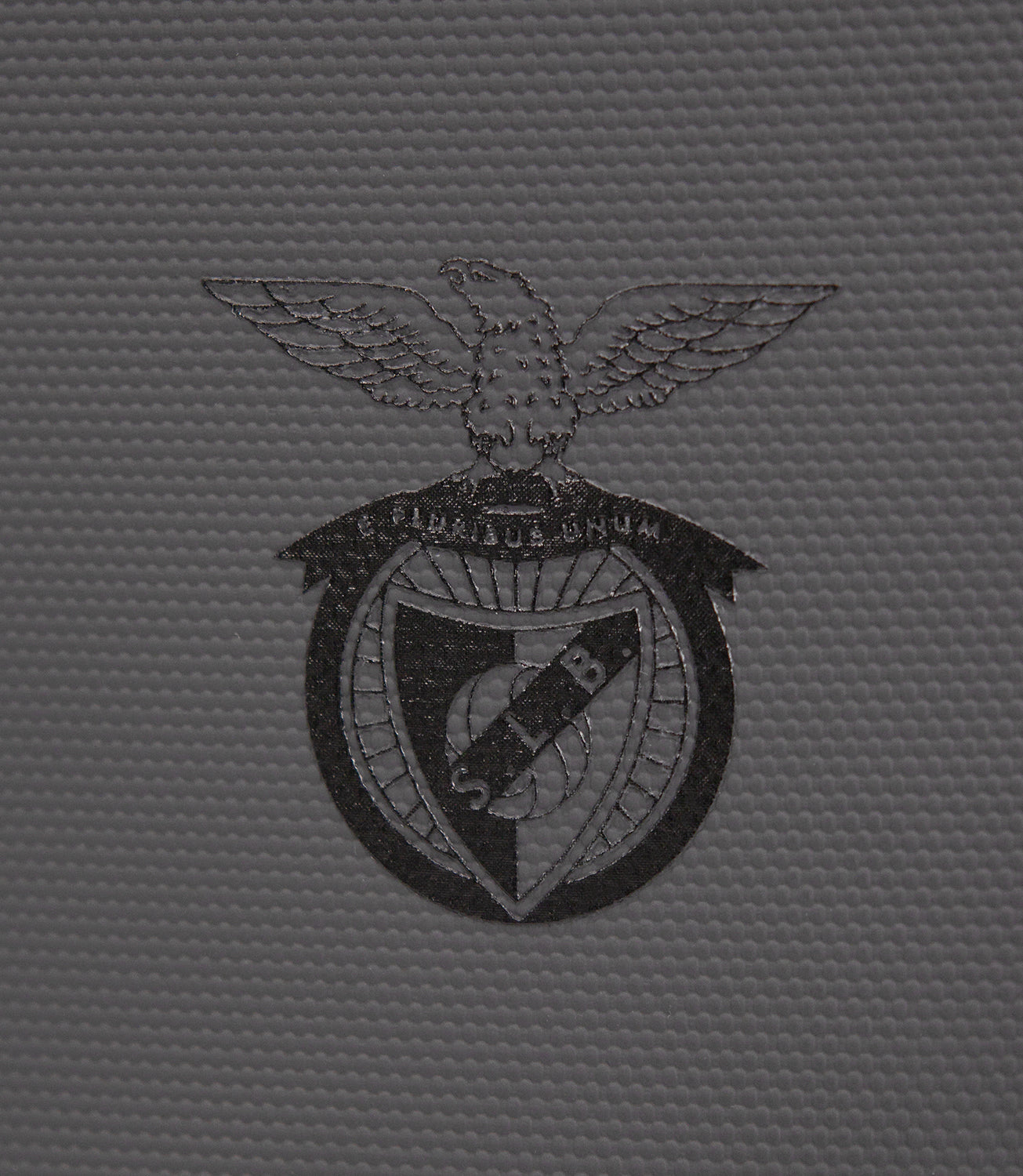 Executive Backpack with SL Benfica Lock